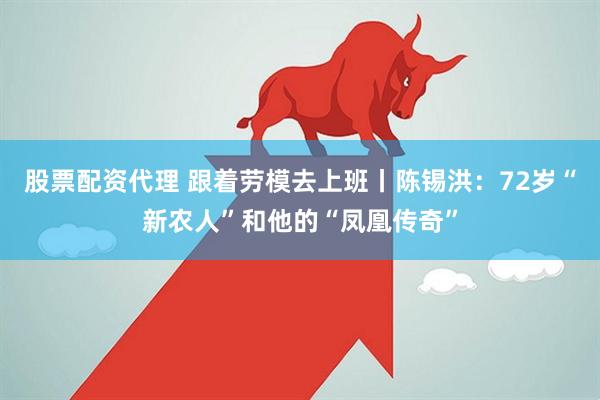 股票配资代理 跟着劳模去上班丨陈锡洪：72岁“新农人”和他的“凤凰传奇”