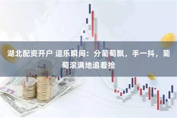 湖北配资开户 逗乐瞬间：分葡萄飘，手一抖，葡萄滚满地追着捡