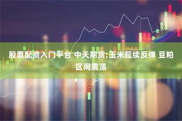 股票配资入门平台 中天期货:玉米延续反弹 豆粕区间震荡
