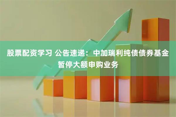 股票配资学习 公告速递：中加瑞利纯债债券基金暂停大额申购业务