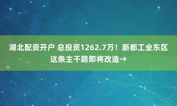 湖北配资开户 总投资1262.7万！新都工业东区这条主干路即将改造→